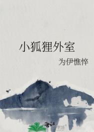 小狐狸开挂小说白心雨